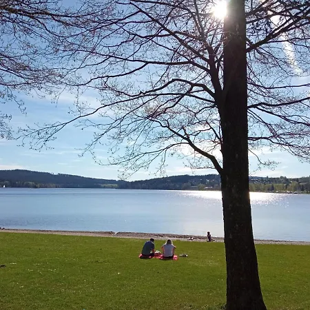 Apartman29 公寓 伏尔塔瓦河畔利普诺